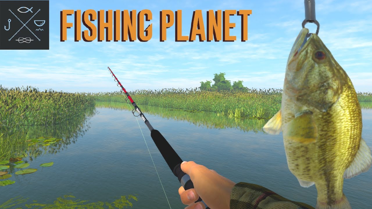 13KG Unique Snook Everglade, Fl Tarpon/Snook/Drum and Bass and XP Farm Fishing