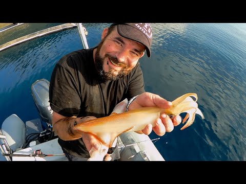 Βίντεο: Καλοκαιρινές συμβουλές για ψάρεμα