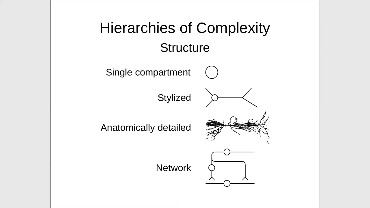 INCF/CNS 2022 course: NEURON concepts