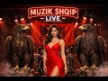 Kënga Shqiptare Live Vibes Te Bukura