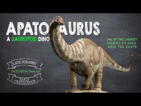 Apatosaurus Facts! A Dinosaur Facts video about the enormous Apatosaurus, also known as Brontosaurus