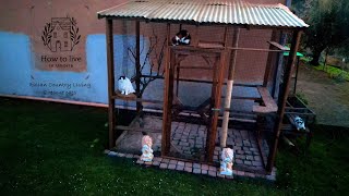 #3 | 8 cats in the Italian Countryside | Full Catio Build