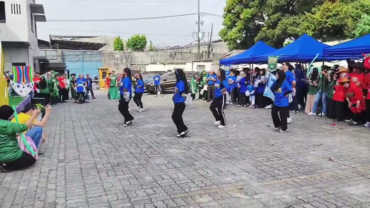 BLUE WOLVES Cheerdance 2026- NCMF
