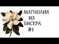 Бисероплетение (Магнолия 1ч.) Мастер-Класс