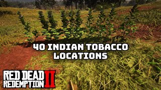 40 Indian Tobacco Locations in Red Dead Redemption 2