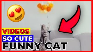 🤣 Funny 😻 Cats vs Helium Balloon 🐶- Cute and funny animal videos 😇 by Jhon Pets Tv 70 views 2 years ago 4 minutes, 24 seconds