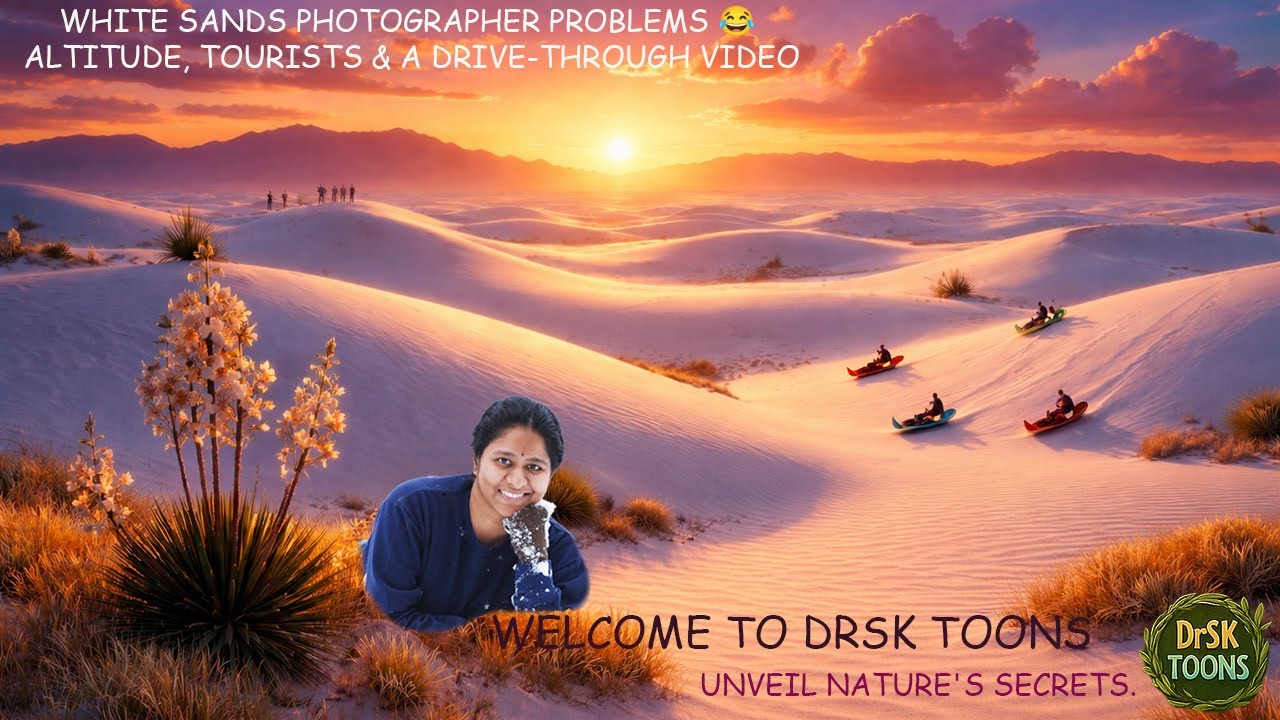 Проблемы фотографа на пляже Уайт-Сэндс 😂 | Высота, туристы и видео с поездки на машине