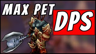 The BEST Petattack Macros for WotLK Classic
