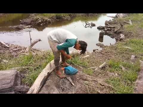 Streek mancing gabus