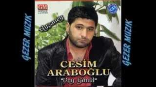 CESİM ARABOGLU GİZLİ GİZLİ GEZER MUZIK Resimi