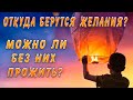 Откуда берутся ЖЕЛАНИЯ и можно ли без них жить?