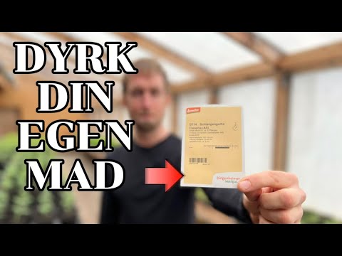 Video: Hvordan bruger du modbevist i en sætning?