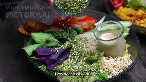 Title Understanding the Lumera Protocol Update Sup