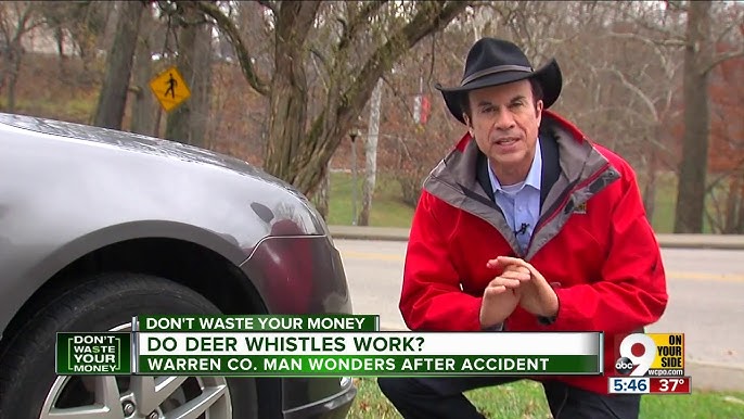 Do Deer Warning Whistles Really Work? 