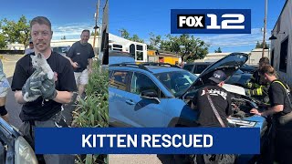 Hubbard firefighters rescue kitten from car engine