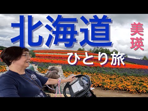 キャンピングカーで【北海道ひとり旅】富良野　美瑛　四季彩の丘　犬達と北海道を満喫しています