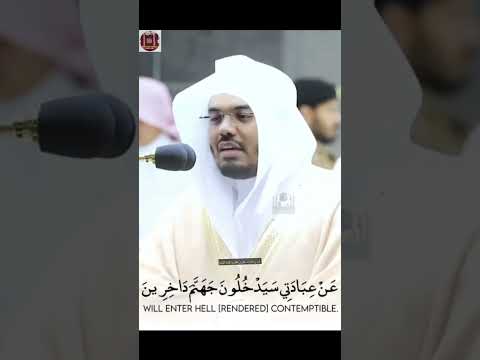 إن الله لذو فضل على الناس ولكن أكثر الناس لايشكرون