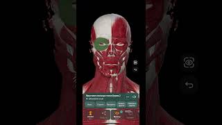 Easy Anatomy 3D | 3D Атлас анатомии человека | Видео по анатомии