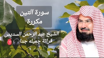 سورة التين مكررة، عبد الرحمن السديس | صوت جميل جدا😍 | Surah al tin #سورة_التين #viral #foryou #fyp