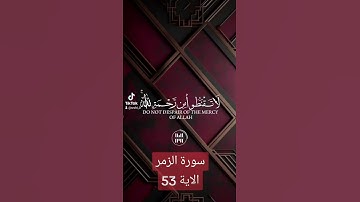 # سورة الزمر#دويتو #دويتو #لايك #duet #دعاءمستجاب #فولو #اسلام # قران#quran