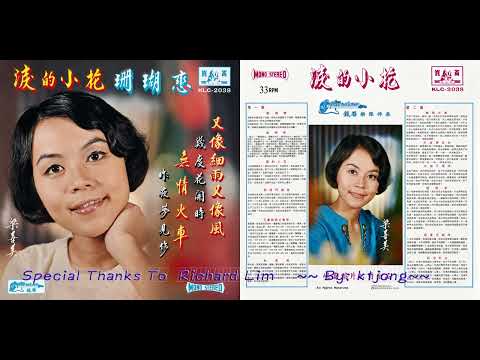梁善美 - 又像細雨又像風 + 秋思曲