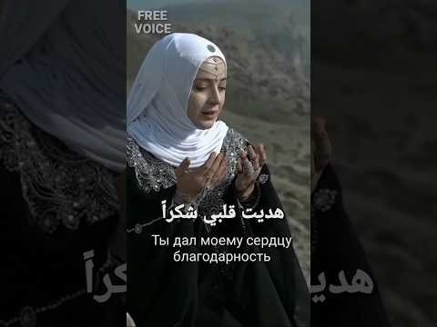 Xadidja Magomedova Shukran