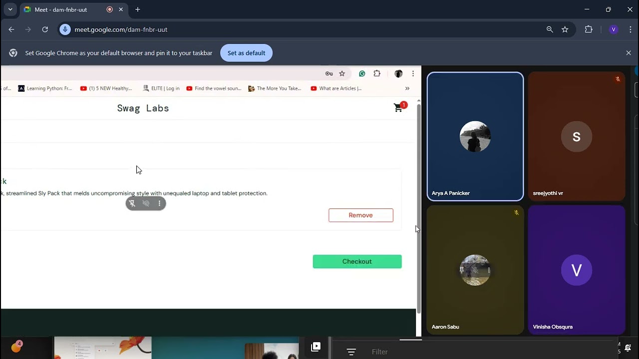 Playwright vinisha29 12 2025