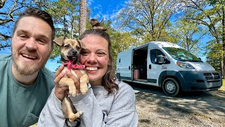 We Rescued a Puppy in our Camper Van