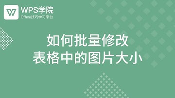 【Excel教程】Excel如何批量修改 表格中的图片大小