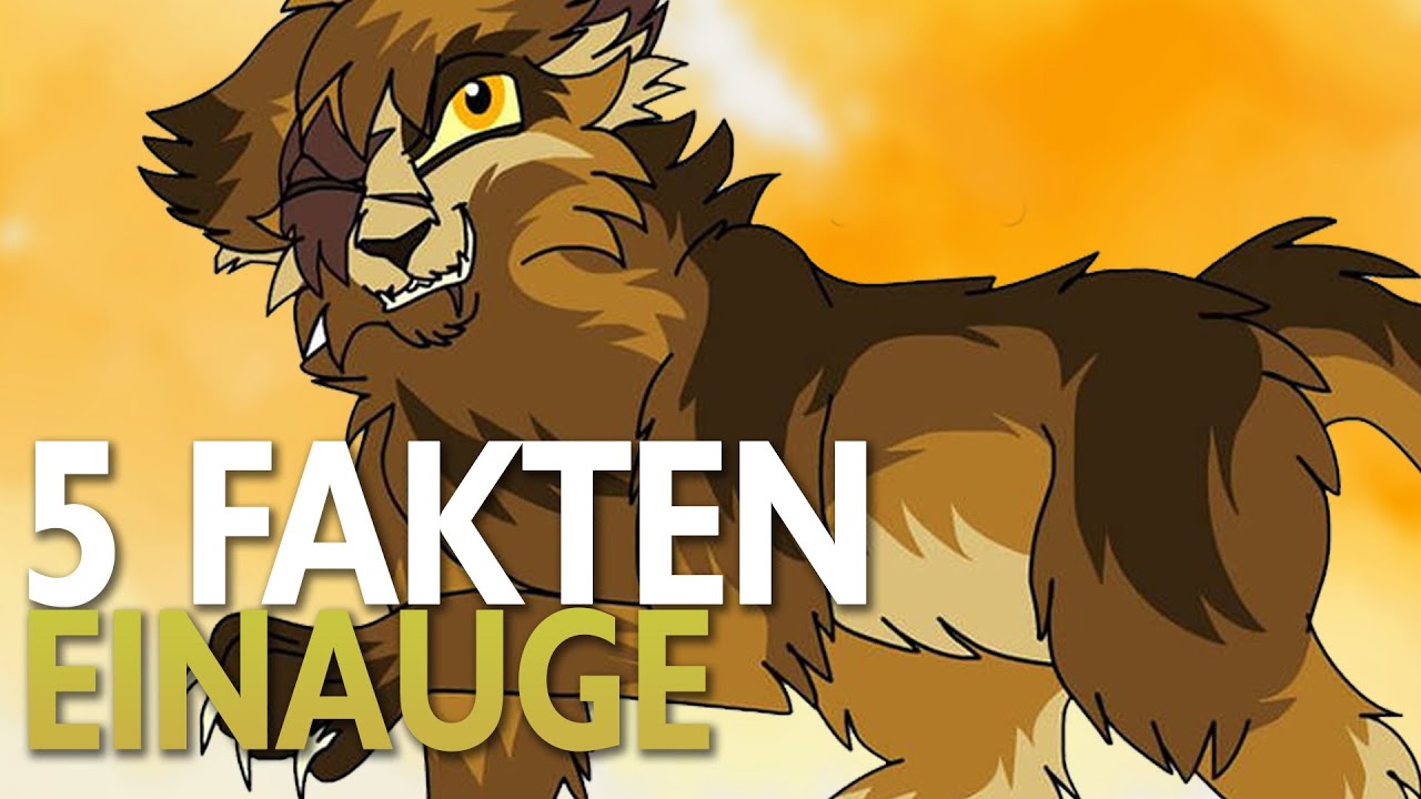 5 Fakten über Einauge | Warrior Cats Fakten