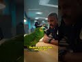 Parrot Confesses to a Cop… Ending Is Wild 😂#Shorts #FunnyVideo #Parrot #Comedy #PlotTwist #Viral