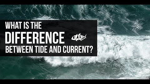what is the difference between tide and current
