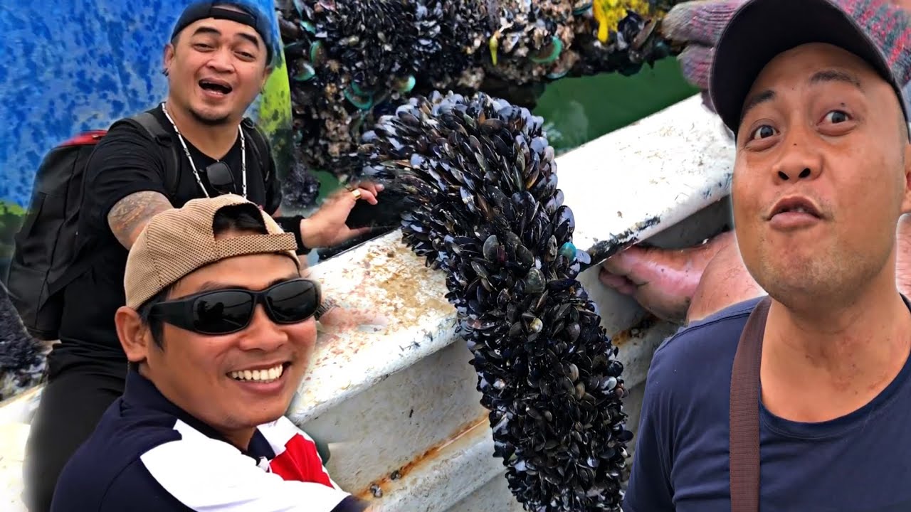 Bawa Tetamu Dari Sarawak Melihat Dan Mengutip Kupang Yang Terbesar Di Johor.