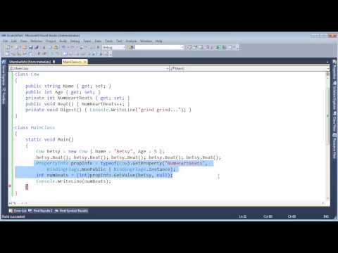C# Touching Private Parts