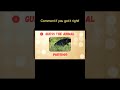 Guess the Animal in 3 Seconds | Fast Quiz Challenge #shorts #quiz #animals  #learnenglish #learning