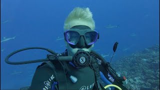 3 Day Solo Sail to a WorldClass Dive Site