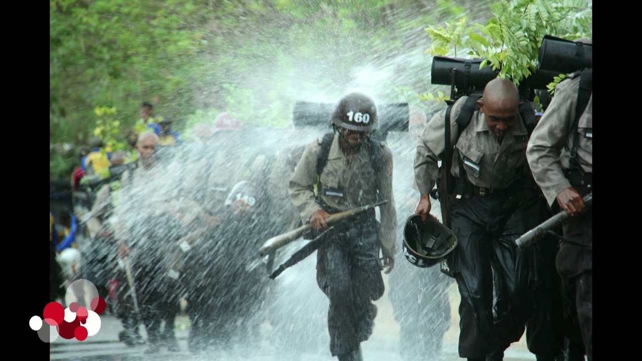 video selayang pandang