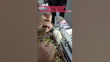 Solid nail pneumatic riveting machine supplier price in Chile  Nicaragua St  Lucia Guyana Guatemala