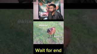 Chalan Kat Rahe Hai Do Hazaar Ke!" 😂 Bhed Ka Epic Kalesh 🐑 #shortsfeed #viral #funny #comedy