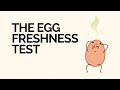 The Egg Freshness Test