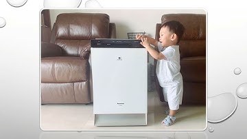 Top 6 máy lọc không khí tốt nhất hiện nay