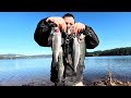 Limit caught trout fishing  hagg lake  freedom outdoors
