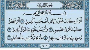 سورة الفيل بصوت الشيخ ابراهيم اخضر - مكرر 10 مرات