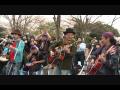 甦る人々 THE TWISTARS(ザ・ツイスターズ) 抱瓶花見会