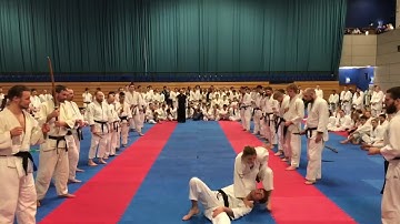 2017 Atemi Nationals Open Final - Sensei Bookland