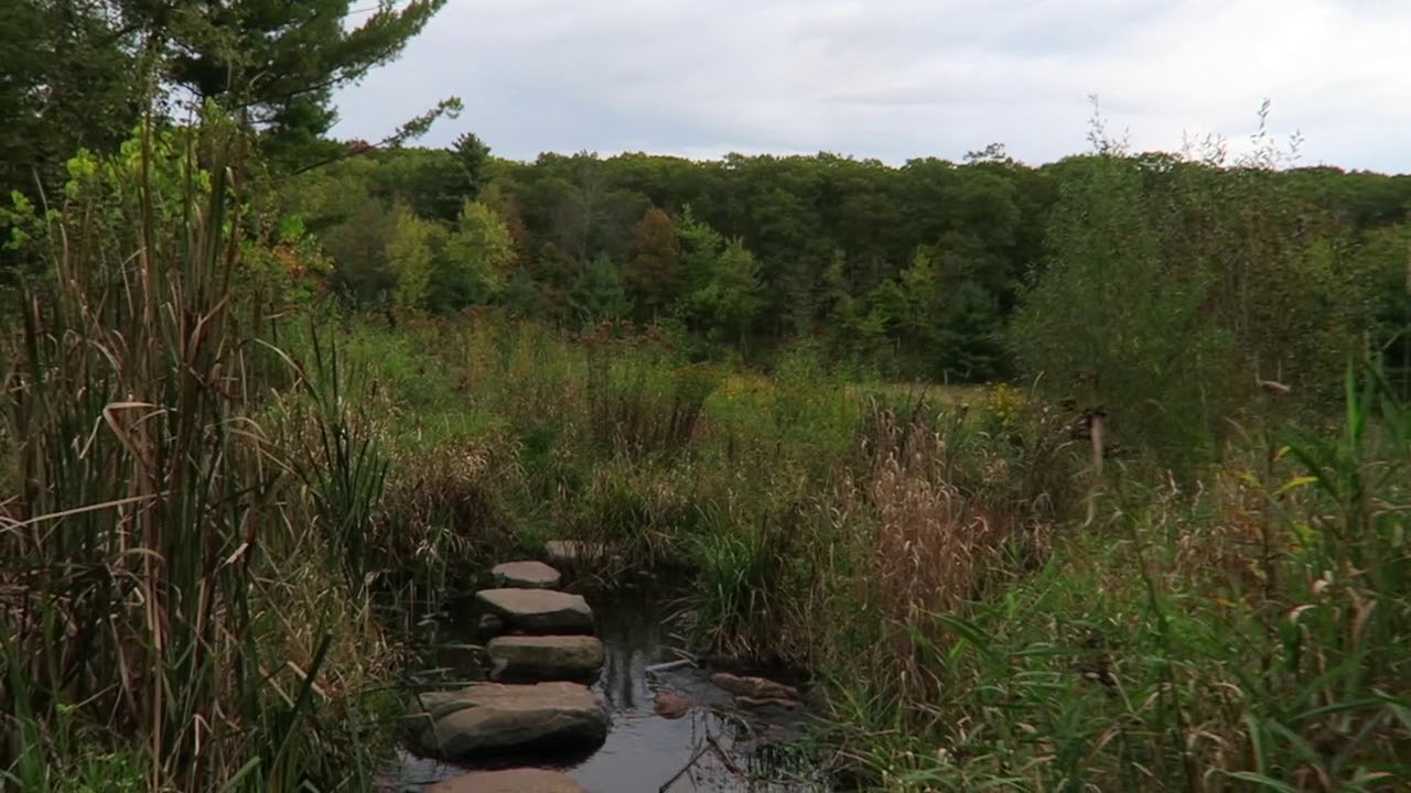 Straight Lake SP Luck, WI YouTube