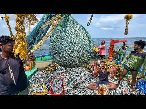 Great‼️ Day 03 || Monstrous Mid‑Water Trawl Catch – Ocean Overflowing💢‼️