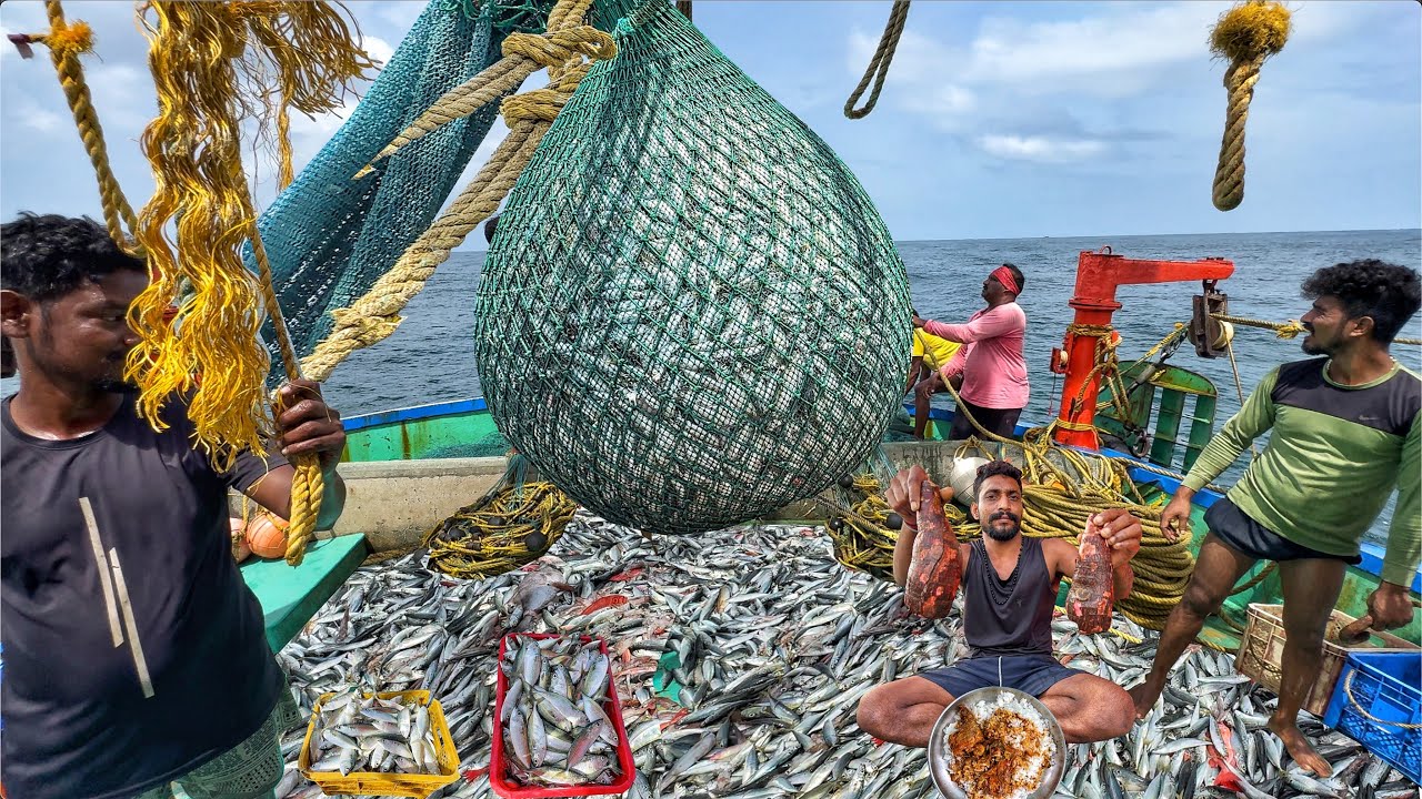 Great‼️ Day 03 || Monstrous Mid‑Water Trawl Catch – Ocean Overflowing💢‼️