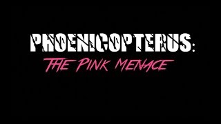 PHOENICOPTERUS: The Pink Menace