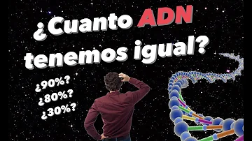 ¿Cuánto ADN comparte la raza humana?